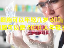 干细胞可以年轻几岁 🐡 （干细胞可以使 🐘 人年轻30岁）